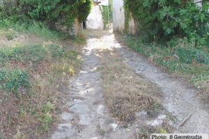 dsc05787