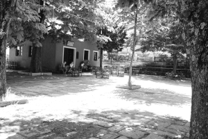 dsc06088