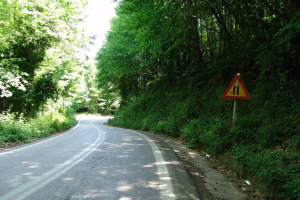 dsc06101